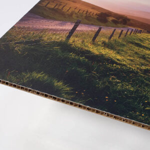 Zantia Board Printing | SAS Graphics Brighton